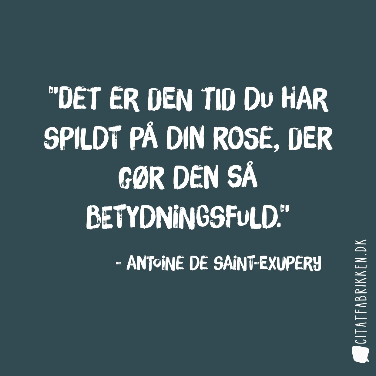 Det er den tid du har spildt på din rose, der gør den så betydningsfuld.