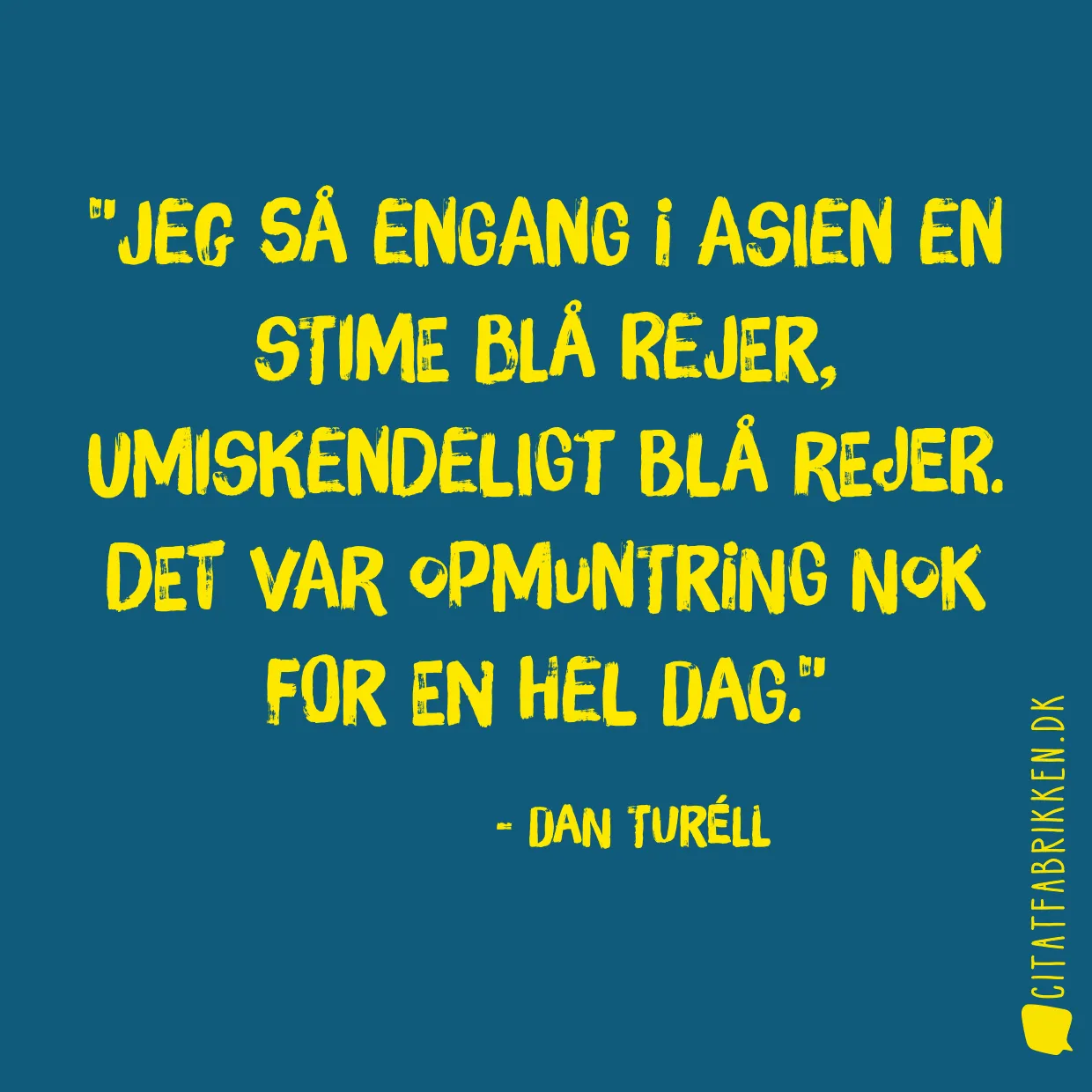 Jeg så engang i Asien en stime blå rejer, umiskendeligt blå rejer. Det var opmuntring nok for en hel dag.