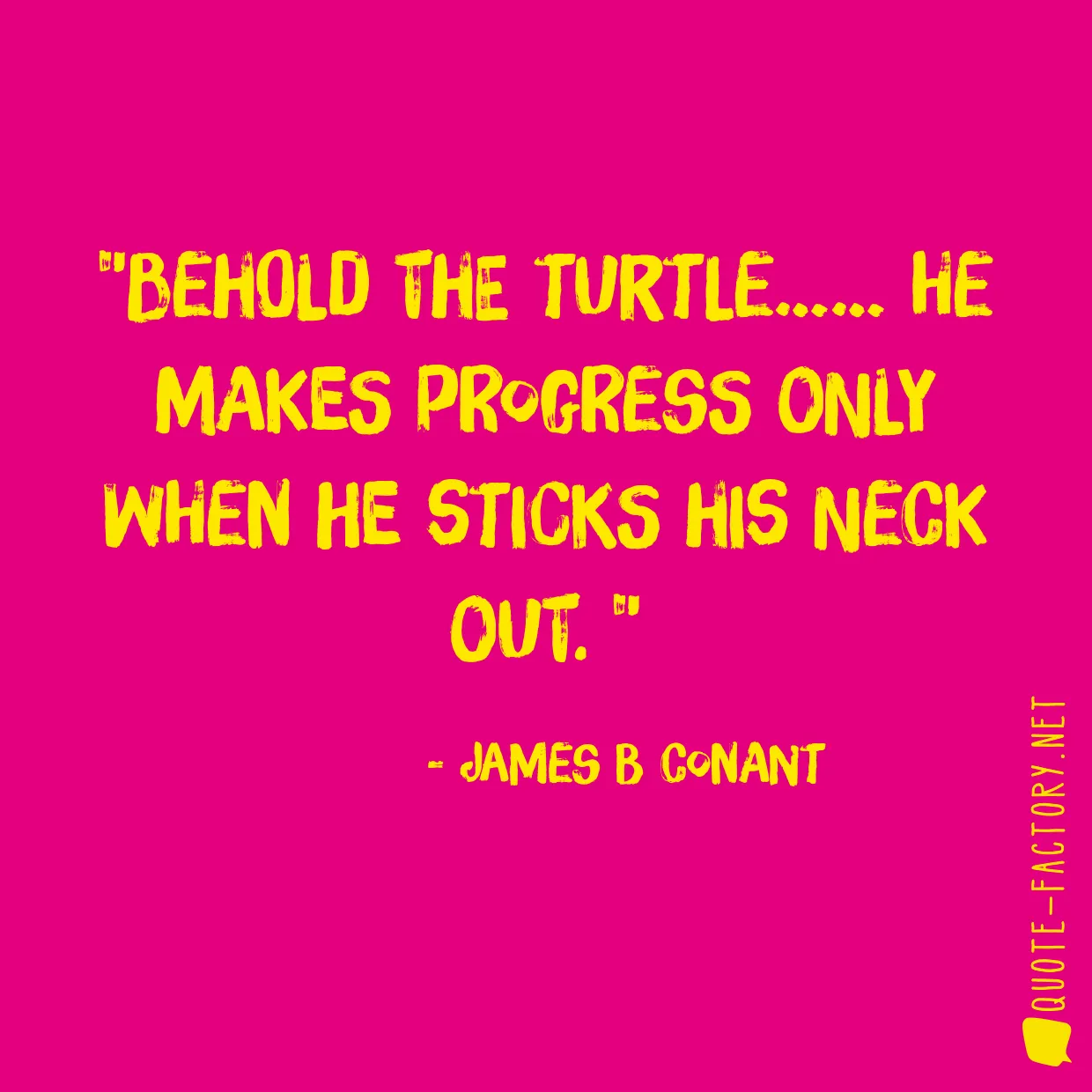 Behold the turtle…… he makes progress only when he sticks his neck out. 