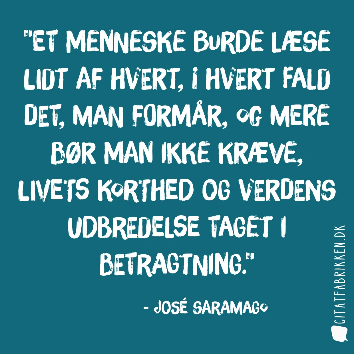 Et menneske burde læse lidt af hvert, i hvert fald det, man formår, og mere bør man ikke kræve, livets korthed og verdens udbredelse taget i betragtning.