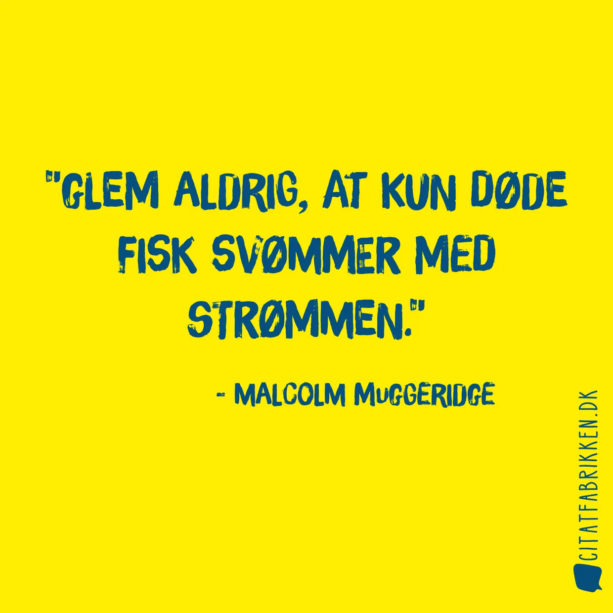 Glem aldrig, at kun døde fisk svømmer med strømmen.