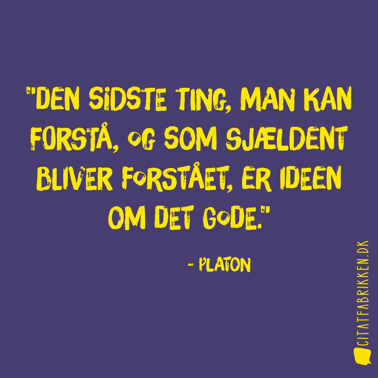 Den sidste ting, man kan forstå, og som sjældent bliver forstået, er ideen om det gode.