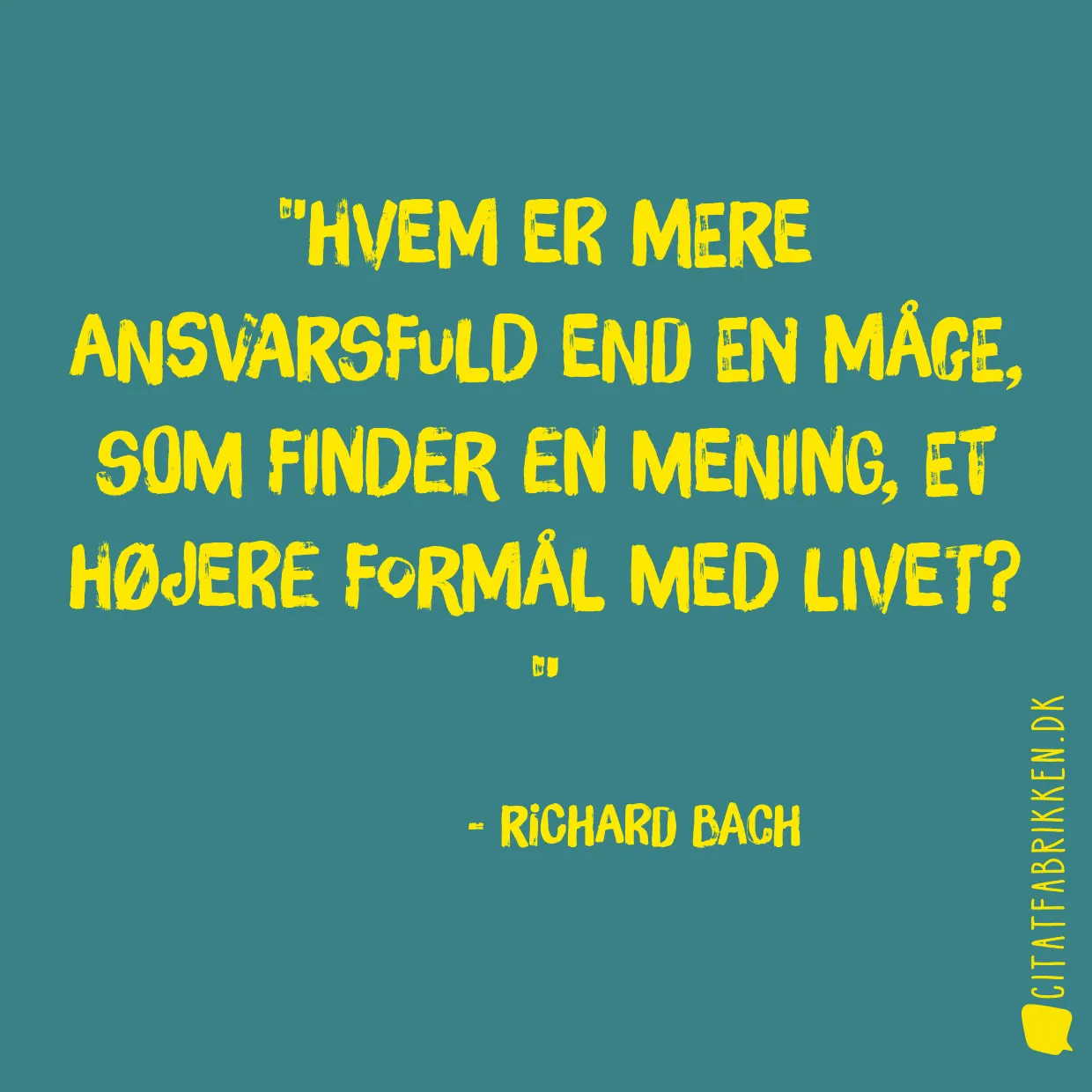 Hvem er mere ansvarsfuld end en måge, som finder en mening, et højere formål med livet? 