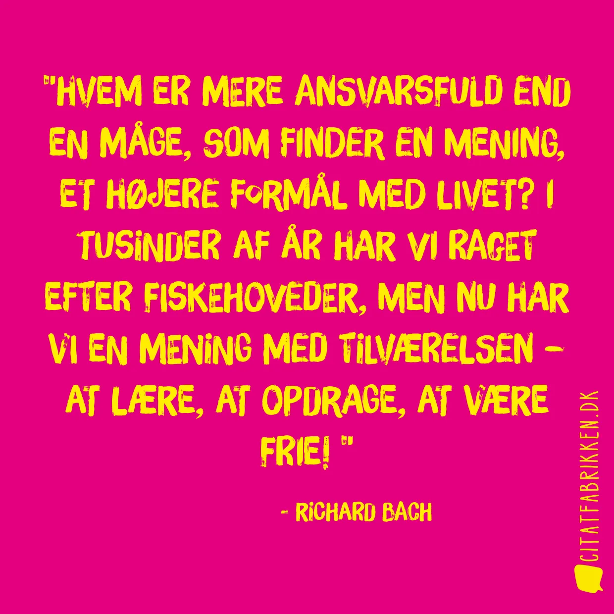 Hvem er mere ansvarsfuld end en måge, som finder en mening, et højere formål med livet? I tusinder af år har vi raget efter fiskehoveder, men nu har vi en mening med tilværelsen – at lære, at opdrage, at være frie! 