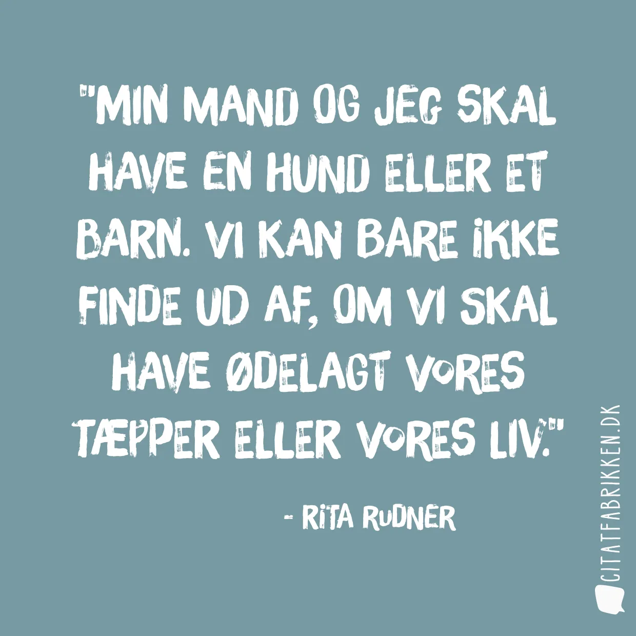 Min mand og jeg skal have en hund eller et barn. Vi kan bare ikke finde ud af, om vi skal have ødelagt vores tæpper eller vores liv.