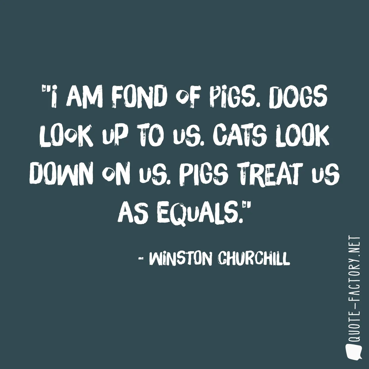 I am fond of pigs. Dogs look up to us. Cats look down on us. Pigs treat us as equals.